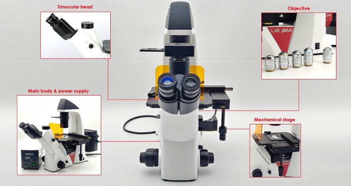 Invertni-fluorescentni-mikroskop 